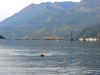 harrisonhotsprings072