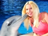 DolphinKiss1